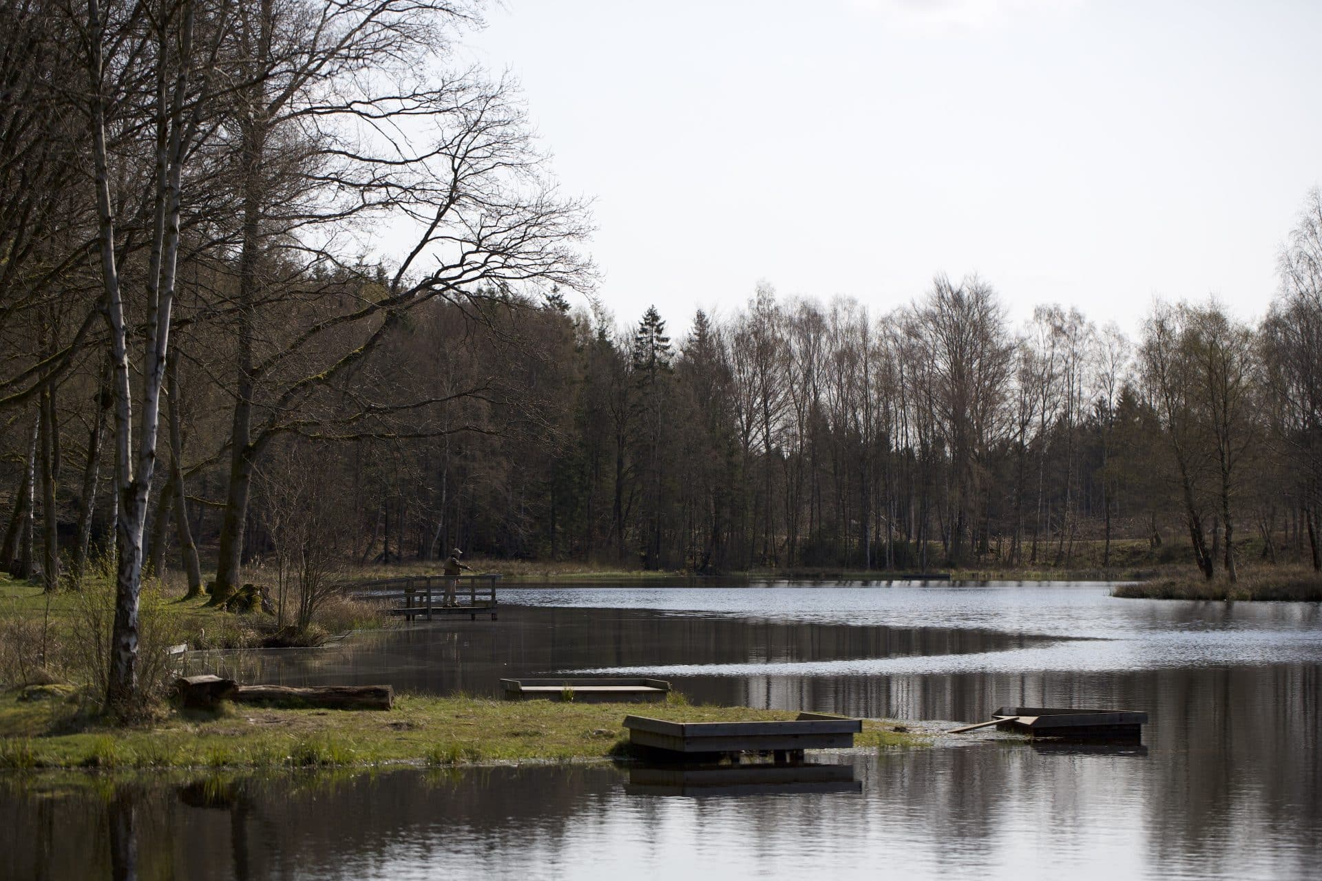 Sjöholmen Badplats - Visit MittSkåne