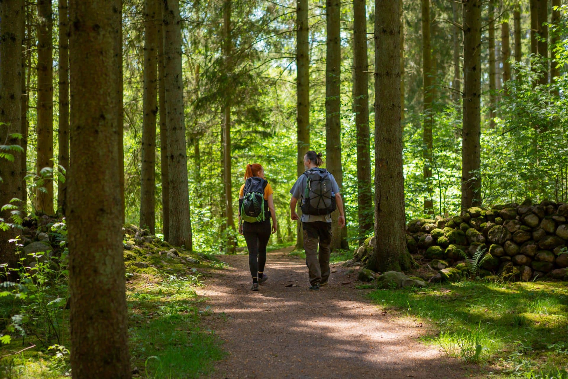 Ringsjön fiske - Visit MittSkåne