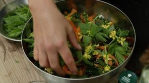 Upplevelser Skåne - Robusta äventyr som del av naturrika äventyr