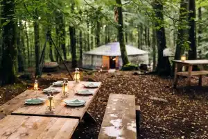 Övernatta på Nyrups Naturhotell i MittSkåne för en naturnära upplevelse.